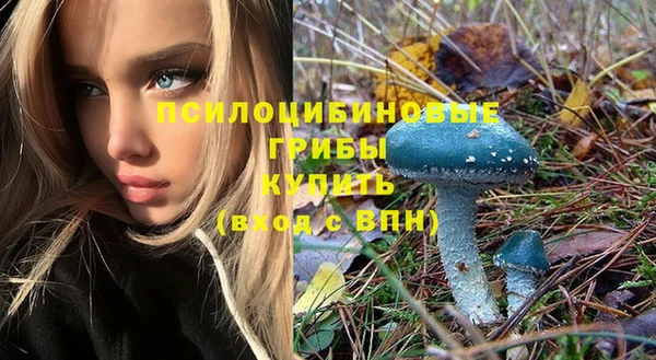 таблы Абинск