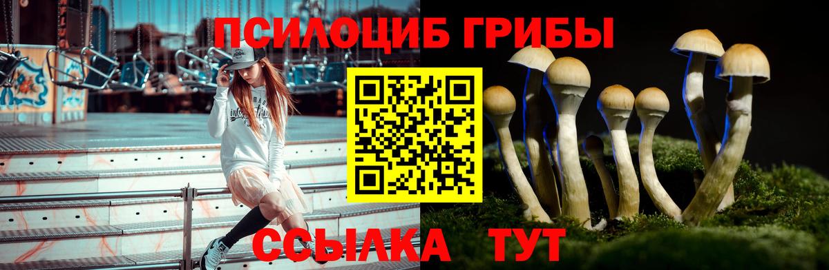 Псилоцибиновые грибы Cubensis Дубна